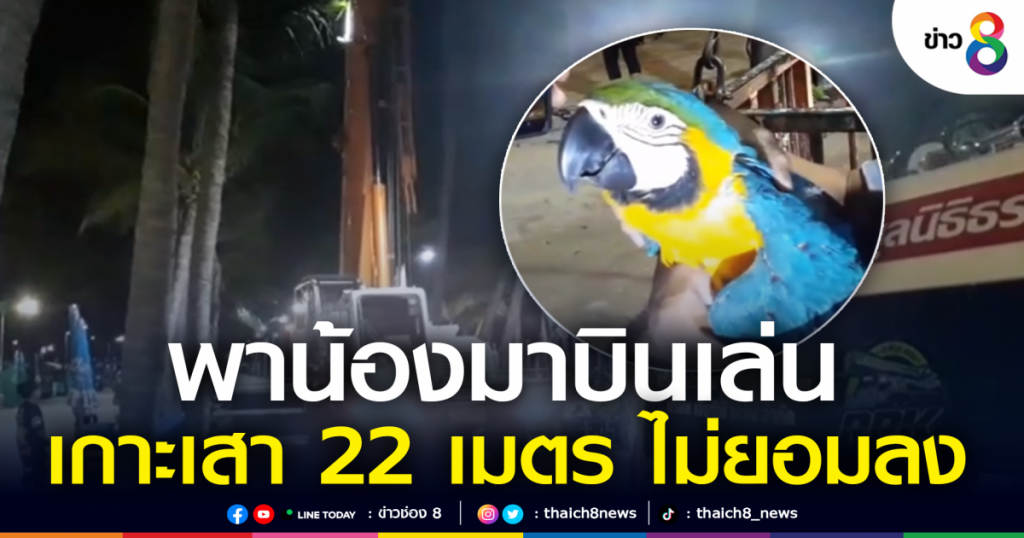 บางแสนวุ่น! นทท. นำ “นกแก้วมาคอว์” มาบินเล่น สุดท้ายไปเกาะบนเสาไฟ 22 เมตร ต้องเอารถเครนพาตัวลงมา