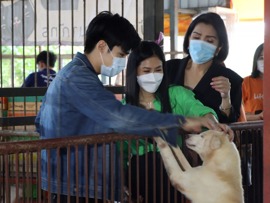 'ภูริพันธ์-วราภรณ์' ร่วมแบ่งปันอาหารให้บ้านพักพิงหมาแมว