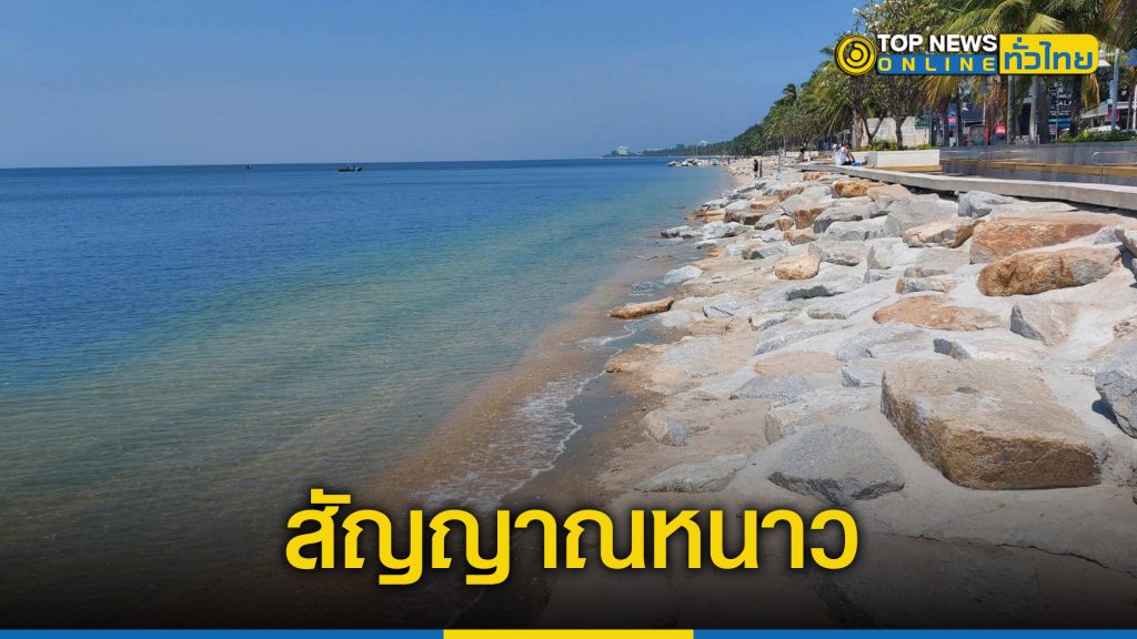 ส่องสัญญาณชายหาดบางแสนจะหนาวมาก ทำให้ปลานานาชนิดพากันเข้าน้ำตื้น ชาวประมงชายฝั่ง เผย มีแค่ปีละครั้ง  – TOPNEWS