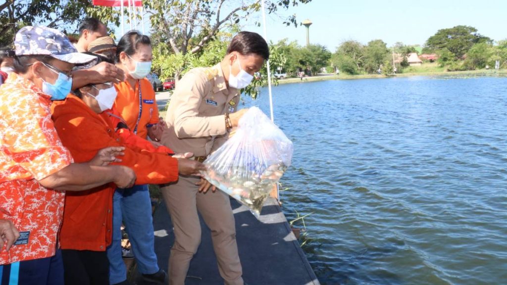 ทต.โพธิ์กลาง โคราชปล่อยพันธุ์ปลา-เต่าเป็นพระราชกุศลองค์ภาฯ หายประชวรโดยเร็ว | สยามรัฐ | LINE TODAY