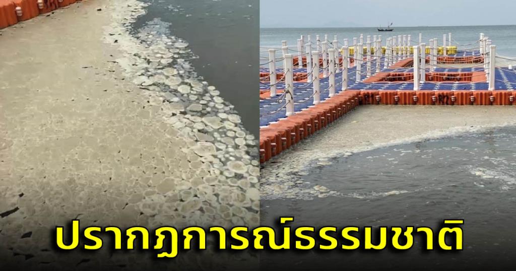 ‘ฟองทะเล’ ลอยบนผิวน้ำทะเลชลบุรีคล้ายน้ำซุปกระดูก คือปรากฏการณ์ธรรมชาติ – ผู้จัดการออนไลน์