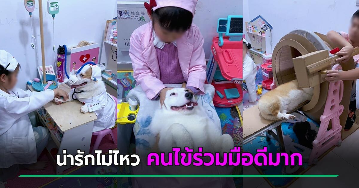 ไวรัลน่ารัก คุณหมอจิ๋วกับคนไข้ 4 ขา อุปกรณ์จัดเต็มแบบ DIY วันนี้ตรวจอะไรคะ