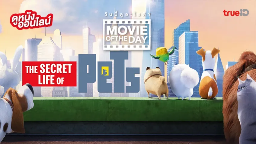 The Secret Life Of Pets เรื่องลับแก๊งขนฟู – หนังน่าดูที่ทรูไอดี (Movie of the Day)