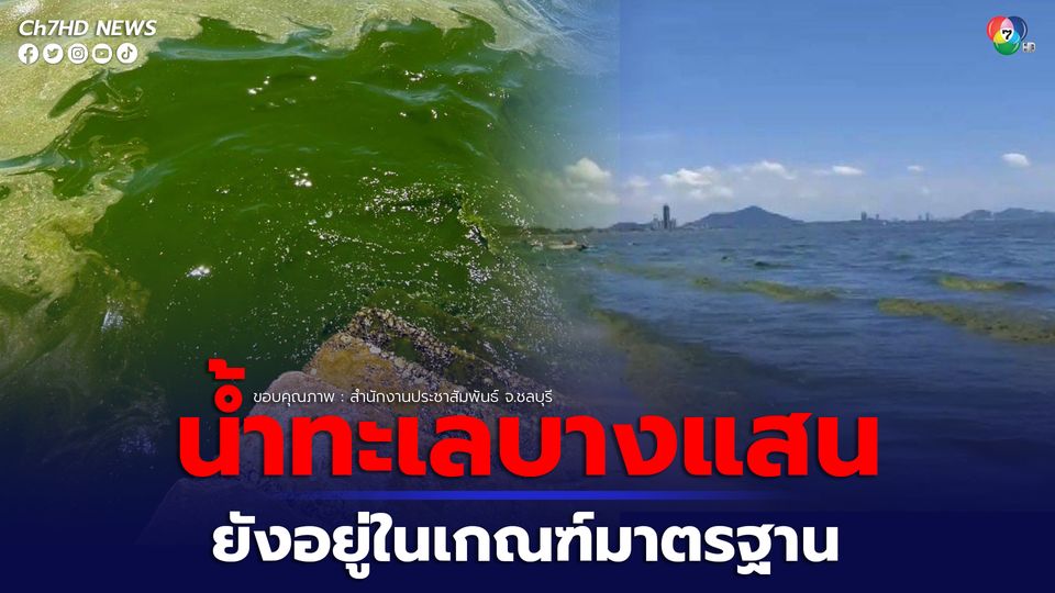 บางแสนน้ำทะเลเปลี่ยนสี ตรวจสอบคุณภาพน้ำทะเลยังอยู่ในเกณฑ์มาตรฐาน