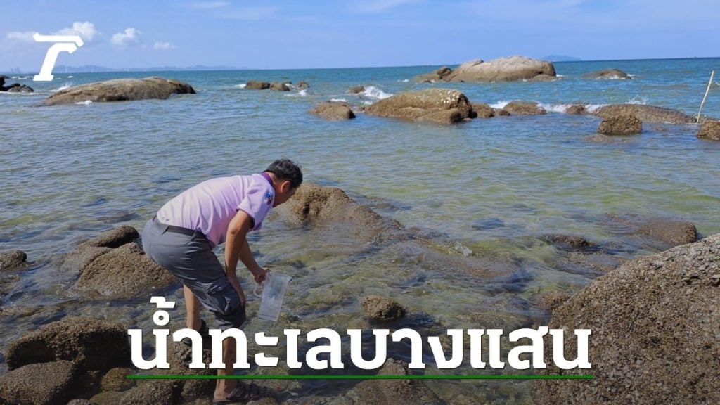 คุณภาพน้ำ “หาดบางแสน” กลับสู่ภาวะปกติแล้ว หลังเกิดปรากฏการณ์แพลงก์ตอนบลูม