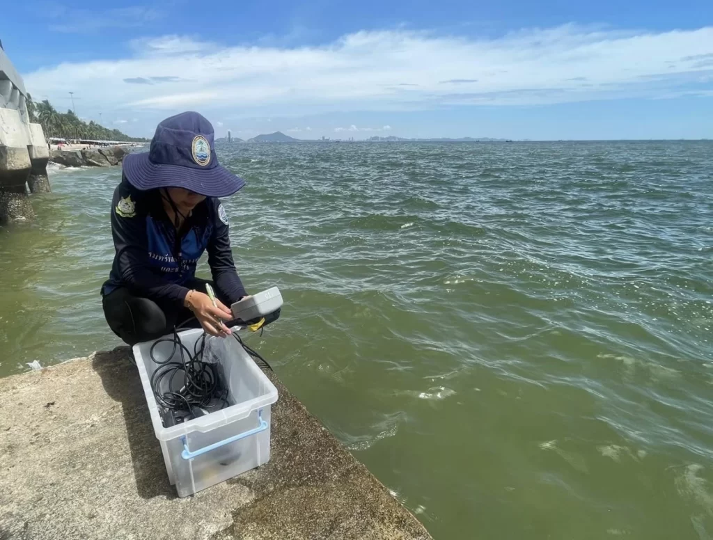 พบคราบก้อนน้ำมันดิน หาดบางแสน กรมทะเลชายฝั่ง ลงพื้นที่ตรวจน้ำทะเล