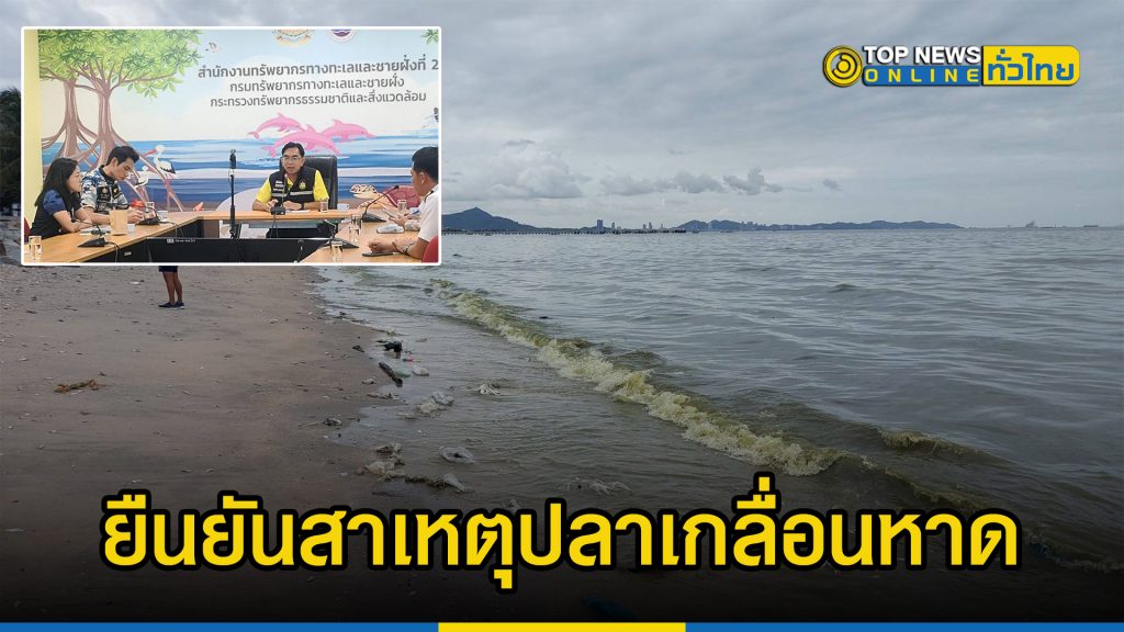 นักวิชาการสิ่งแวดล้อมชำนาญการยืนยันสาเหตุปลาตายเกลื่อนหาดมีต้นเหตุมาจากแพลงก์ตอนบลูมไม่ใช่จากคราบน้ำมัน – TOPNEWS