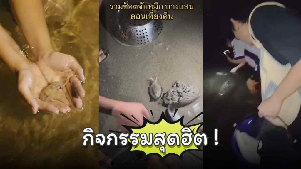 กำลังเป็นกระแส ! คนแห่จับหมึกริมหาดบางแสน กิจกรรมใหม่ยามค่ำคืน – video Dailymotion