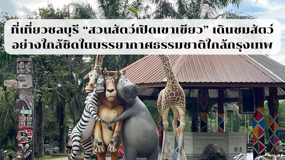 ที่เที่ยวชลบุรี “สวนสัตว์เปิดเขาเขียว” เดินชมสัตว์อย่างใกล้ชิดในบรรยากาศธรรมชาติใกล้กรุงเทพ