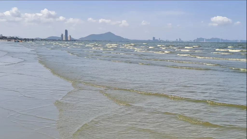 คุณภาพน้ำทะเลชายหาดบางแสน ล่าสุดกลับสู่ภาวะปกติ แต่ระวังเข้าสู่ร่างกาย