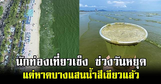 นักท่องเที่ยวเซ็ง ช่วงวันหยุด แต่หาดบางแสนน้ำสีเขียวแล้ว